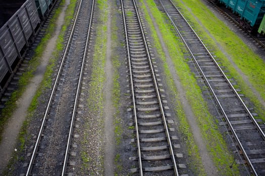 Photo of Railways on grass