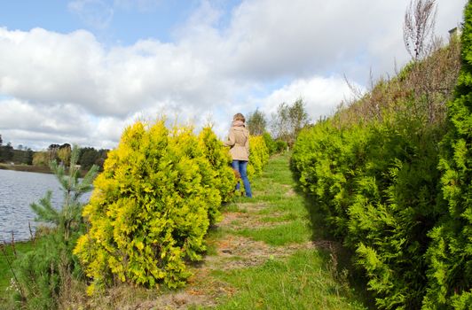 blond woman stand between thuja bush plant alley admire lake landscape.
