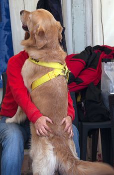 Young woman embracing her dog