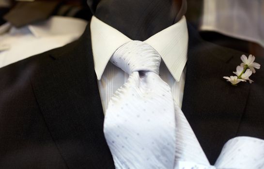 Chic and stylish suit for elegant man