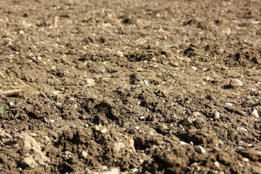 Arable land