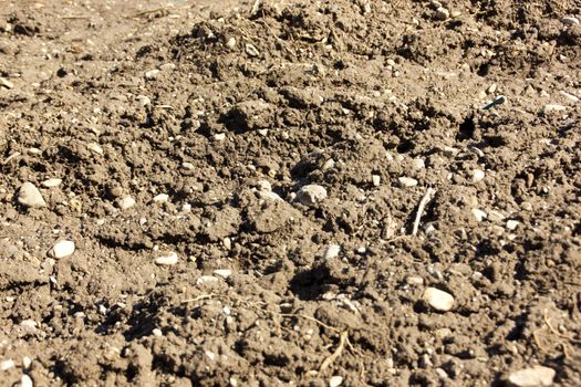 Arable land