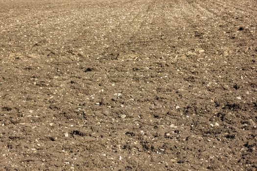Arable land