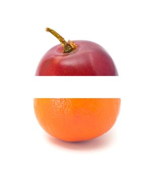Fruit. mixed Fruit on the white background