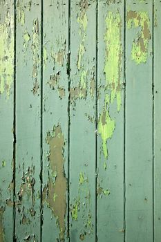 part of green weathered wooden fencing or boarding
