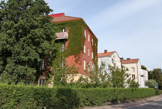 house with ivy vertical gardening