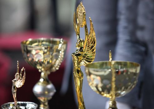 Group of trophies lined up on the shelf