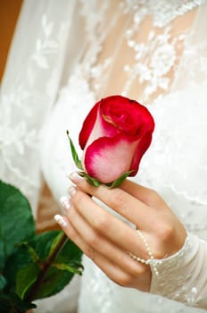 The bride holds a delicate rose in a hand