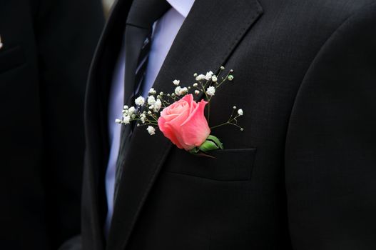 red rose on a groom black coat. Close-up.