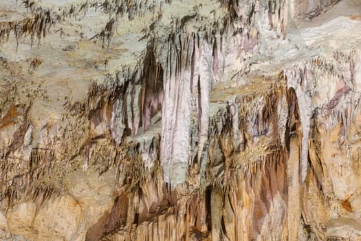 View of Grotta Gigante - Giant Cave, Sgonico. Trieste