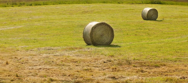 Round haystacks in a field