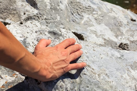 Photo of Female hand on white rock
