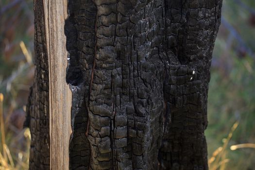 Close up of a black burned wood