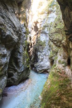 View of the Tolminska korita in Slovenia