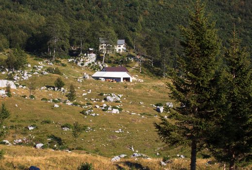 Farm in the Planina razor - Slovenia
