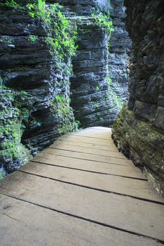 Catwalk in the forest next to the Kozjak waterfall