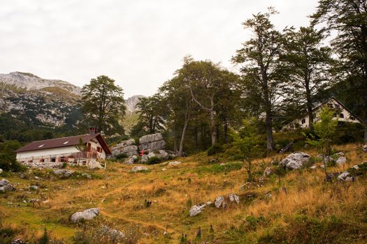 Farm in the Planina razor - Slovenia