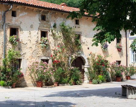 A lot of flowers pots in the facade house