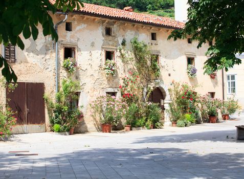 A lot of flowers pots in the facade house