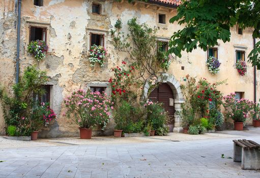 A lot of flowers pots in the facade house