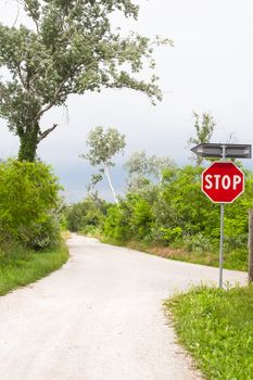 Road in the countryside, Isola della cona - Friuli venezia Giulia