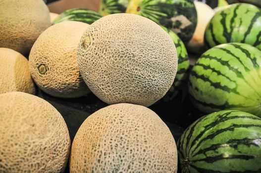 melons on display shelf at the supremarket