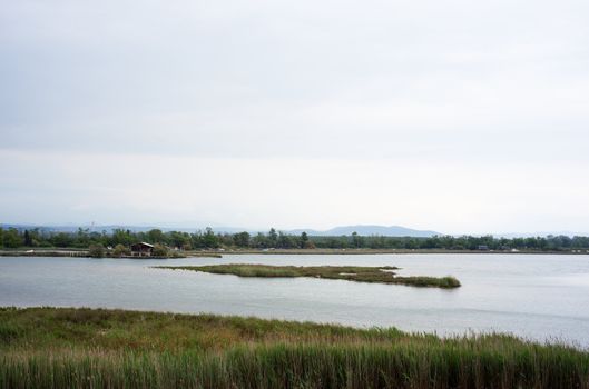 Isola della cona, Friuli Venezia Giulia - Italy