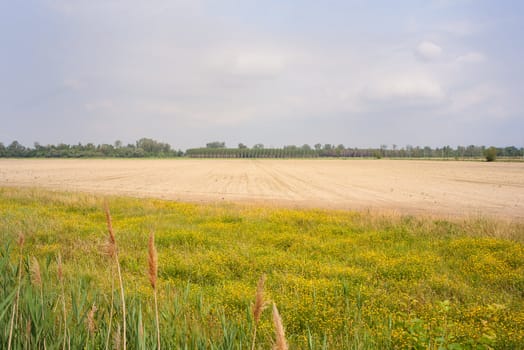 View of the countryside, Isola della cona
