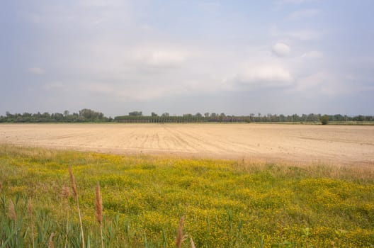 View of the countryside, Isola della cona