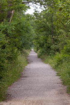 View of a Road in the countryside, green vegetation