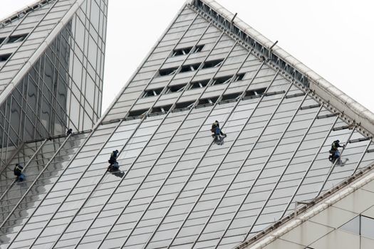 man cleaning windows on a high rise building
