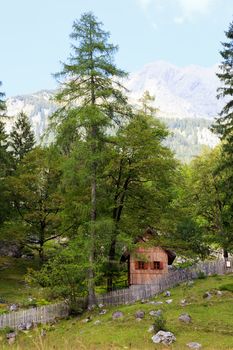 Little wooden house in Slovenian