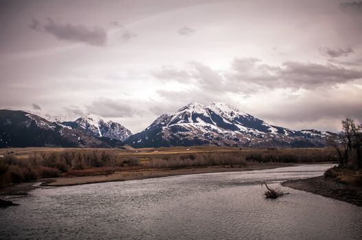 rocky mountains landscapes in montana yellowstone national park