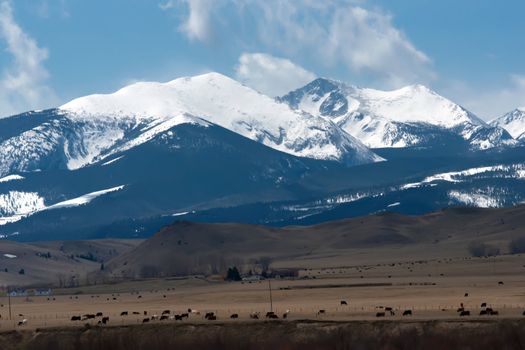 rocky mountains landscapes in montana yellowstone national park