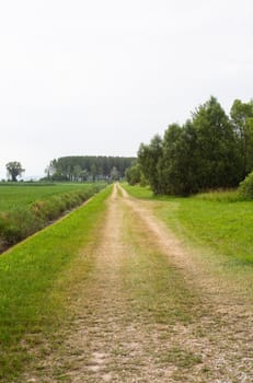 View of a Road in the countryside, green vegetation