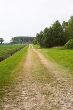 View of a Road in the countryside, green vegetation