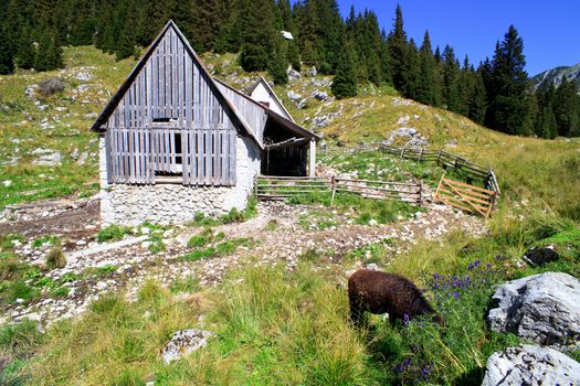 Old wooden house in Slovenian Julian Alps
