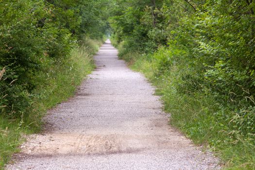 View of a Road in the countryside, green vegetation