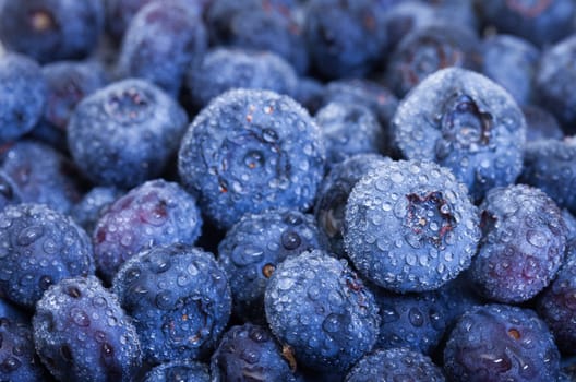 Wet Fresh Blueberries Berries closeup, backdrop