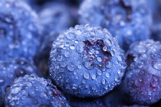 Wet Fresh Blueberries Berries closeup, backdrop