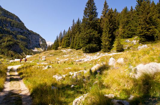 View of Krn mountain, Slovenian julian alps