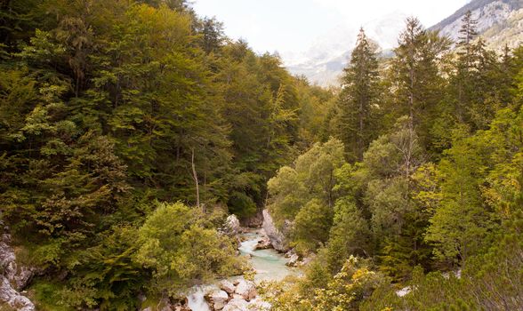 View of Slovenian Soca river in the summer
