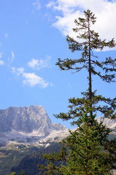 View of Julian Alps in the Slovenian countryside