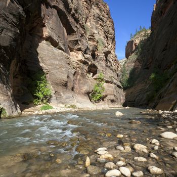 Shallow rapids of the Virgin River, Utah 