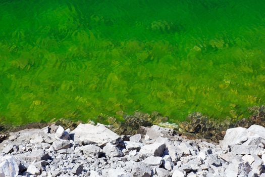 Detail of krnsko lake, Slovenia - Europe
