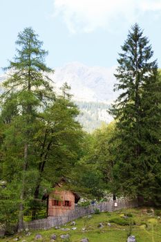 Little wooden house in Slovenian