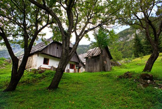 View of Slovenian Julian Alps in the summer
