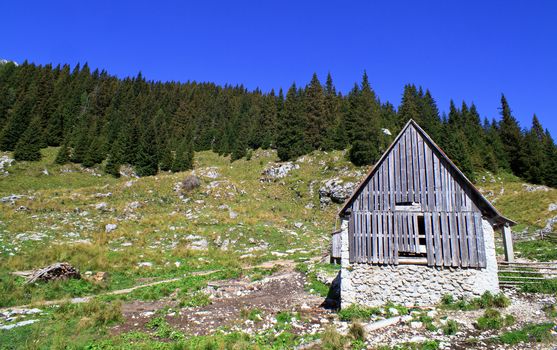 Old wooden house in Slovenian Julian Alps