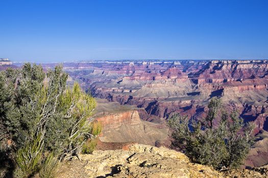 Famous Grand Canyon view , Arizona, USA