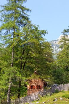 Little wooden house in Slovenian